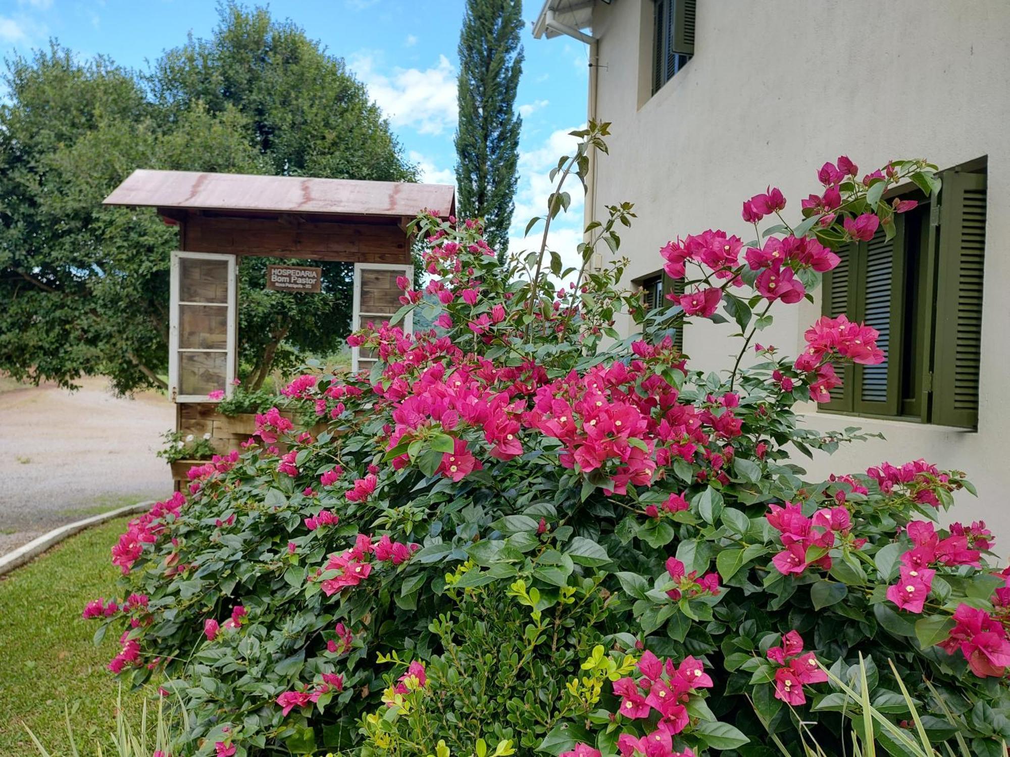 Hospedaria Bom Pastor Nova Petropolis Ngoại thất bức ảnh